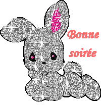 BONNE SOIREE A VOUS TOUS ET TOUTES GROS BISOUS