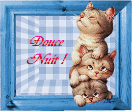 BONNE SOIREE A VOUS TOUS ET TOUTES GROS BISOUS
