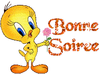 BONNE SOIREE A TOUS ET TOUTES GROS BISOUS