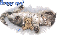 BONNE SOIREE ET BON DODO A TOUS ET TOUTES BISOUS