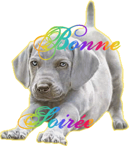 BONNE SOIREE A TOUS ET TOUTES PLEINS DE GROS BISOUS