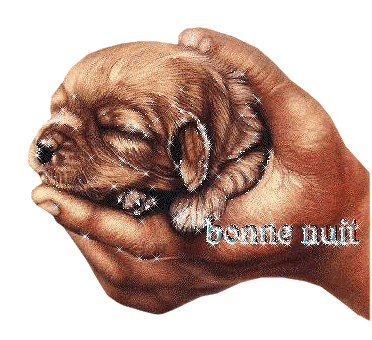 TRES TRES BONNE SOIREE A VOUS TOUS ET TOUTES GROS BISOUS