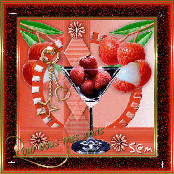 TRES BEAU CADEAU DE NOTRE AMIS S@M MILLES MERCI