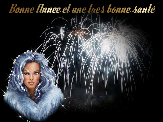 BONNE ANNEE 2008 A VOUS TOUS ET TOUTES