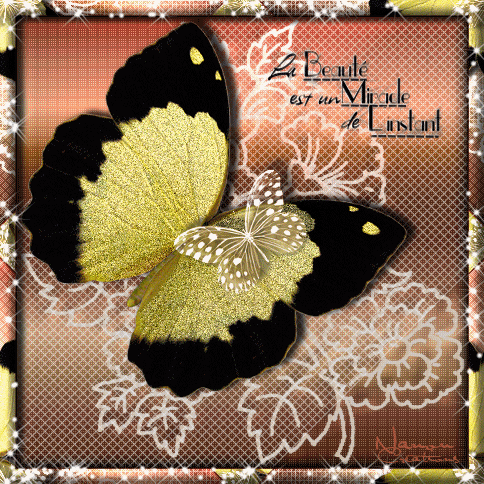 IMAGE DE NANOU BON MARDI A VOUS TOUS ET TOUTES