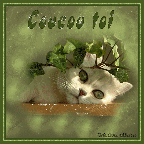 BONNE SOIREE ET BON VENDREDI A VOUS TOUS ET TOUTES