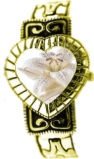 BON JEUDI A TOUS ET TOUTES DUD DUR FINIE LES F�TES!!!!!