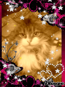 BON VENDREDI A TOUS ET TOUTES KISS