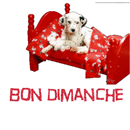 TRES BON DIMANCHE A TOUS ET TOUTES GROS BISOUS CARO