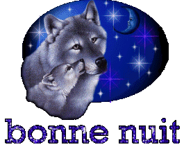 BONNE SOIREE A VOUS TOUS ET TOUTES GROS BISOUS