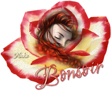 BONNE SOIREE A TOUS ET TOUTES GROS BISOUS