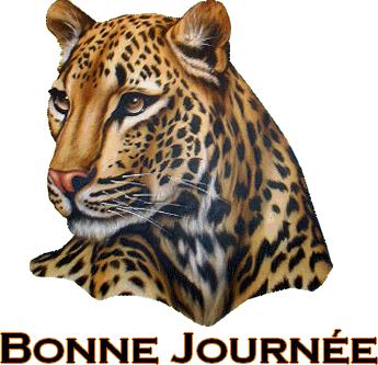 BON MERCREDI A VOUS PLEINS DE GROS BISOUS