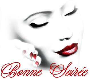 BONNE SOIREE A TOUS ET TOUTES GROS BISOUS