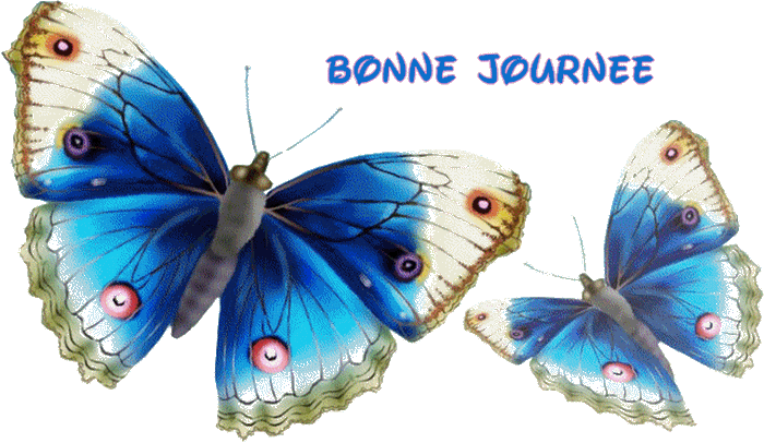 BONNE JOURNEE A TOUS ET TOUTE GROSSES BISES CARO