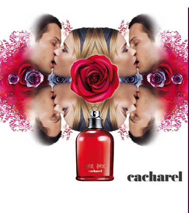 BONNE ST VALENTIN ET TOUS ET TOUTES