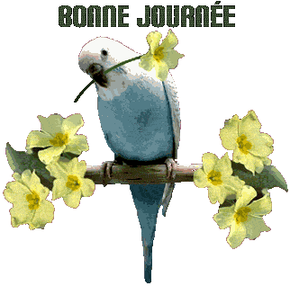 BON JEUDI A TOUS ET TOUTES GROS BISOUS