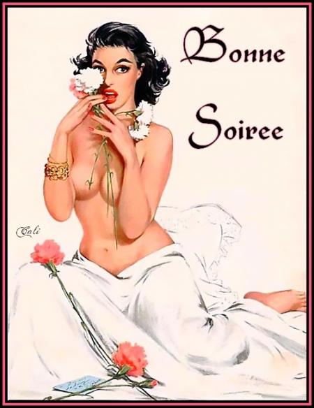 BONNE SOIREE A TOUS ET TOUS GROS BISOUS
