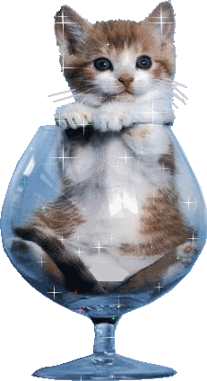 BONNE SOIREE A TOUS ET TOUTES GROS BISOUS