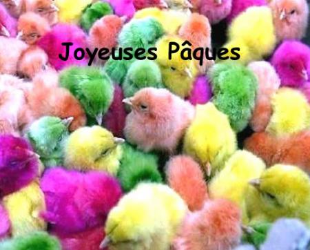 BON JEUDI A TOUS ET TOUTES GROS BISOUS