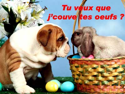 kikou d�sol�e de n'�tre pas passer aujourd'hui gros bisous a tous et toutes