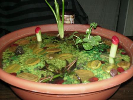 DEBUT DE MON BASSIN D'INTERIEUR!!!!!!!!!!!!!!!!!!!!