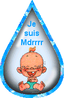 CE QUE CERTAIN PENSE DES PRESIDENTIELLES DIMANCHE LOL !!!!