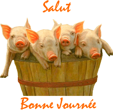 BON MERCREDI A TOUS ET TOUTES KISS