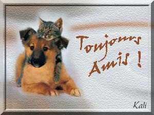 LES VACANCES APPROCHENT NE LES LAISSERS PAS MERCI