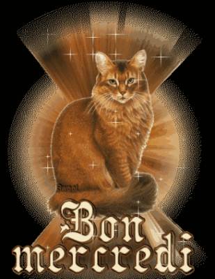 PLEINS DE BISOUS TRES FORT KISS CARO (VOS CREAS D'ANNI DANS UN CUBE )