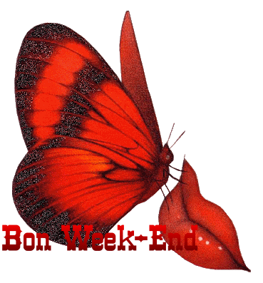 BON WEEK END A VOUS TOUS ET TOUTES PLEINS DE BISOUS