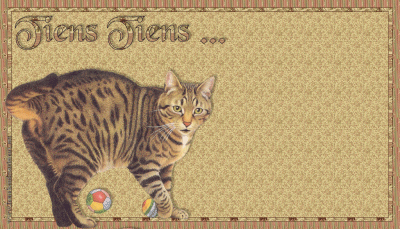 ET OUI LES VACANCES ARRIVENT STOP A L 'ABANDON DES ANIMAUX