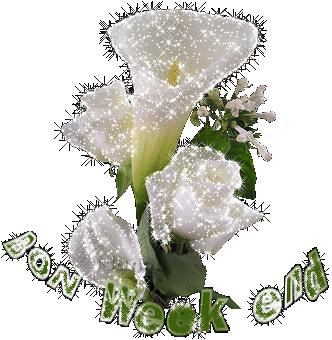 BON WEEK END A TOUS ET TOUTES KISS