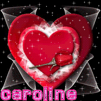 TRES BON WEEK END A VOUS A LUNDI GROS BISOUS CAROLINE