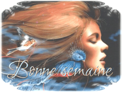 TRES BONNE SOIREE ET TRES BON DEBUT DE SEMAINE