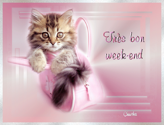 TRES BON WEEK END A TOUS ET TOUTES KISS