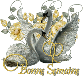 BONNE SEMAINE A TOUS ET TOUTES KISS CAROLINE