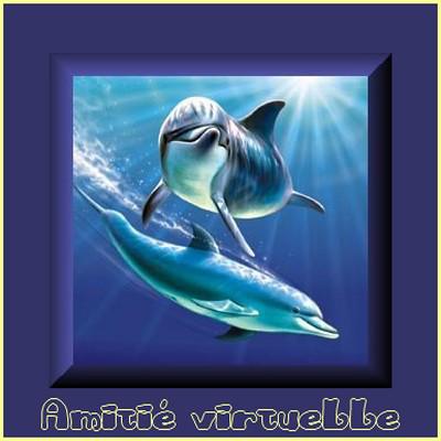 TRES BONNE SOIREE ET TRES BON DIMANCHE KISS