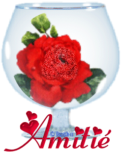 TRES BEAU CADEAU DE MON AMIE 
