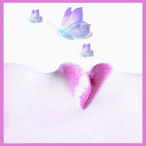 TRES BONNE SOIREE ET TRES BON MERCREDI A TOUS