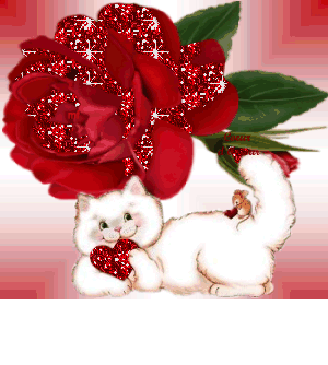 BONNE SOIREE ET TRES BON JEUDI QUI ES EGALEMENT LA F�TE DES ROSES