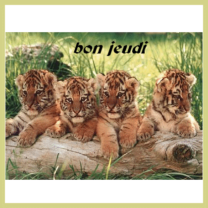 TRES BONNE SOIREE ET TRES BON JEUDI KISS