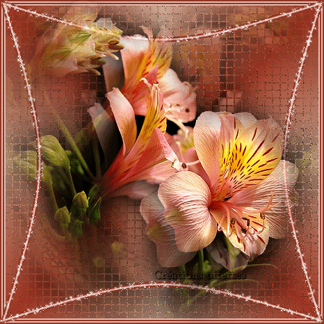 BON VENDREDI A TOUS ET TOUTES KISS