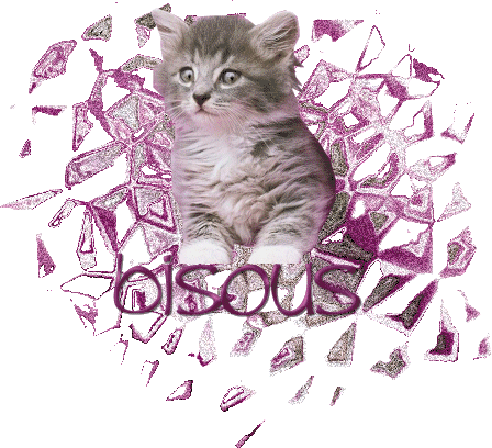 BON JEUDI A TOUS ET TOUTES AVEC LE SOLEIL PLEINS KISS CAROLINE