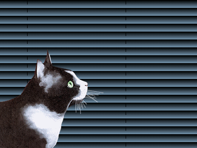 BON JEUDI A TOUS ET TOUTES KISS CARO