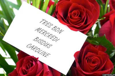 BONNE SOIREE ET TRES BON MERCREDI A TOUS ET TOUTE BISOUS