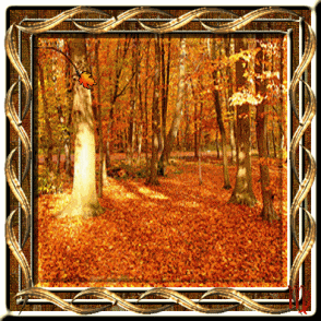 BON MARDI A TOUS ET TOUTES KISS CARO