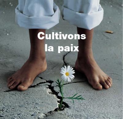 PAIX SUR VIP ARTICLE DE TGV08