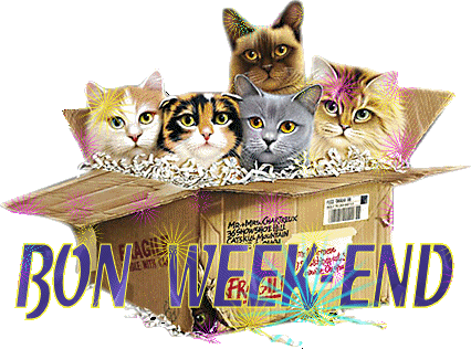 BON WEEK END A TOUS ET TOUTES KISS