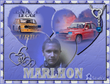 MERCI MON AZALEE CHERIE TU VA FAIRE UN HEUREUX AU REVEIL