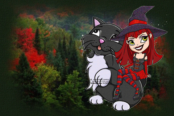 TRES BONNE SOIREE ET BON MERCREDI